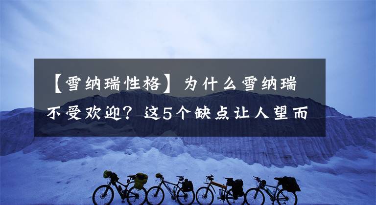 【雪纳瑞性格】为什么雪纳瑞不受欢迎？这5个缺点让人望而止步