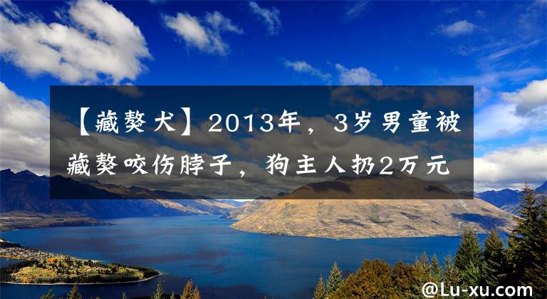 【藏獒犬】2013年，3岁男童被藏獒咬伤脖子，狗主人扔2万元后消失，后续如何