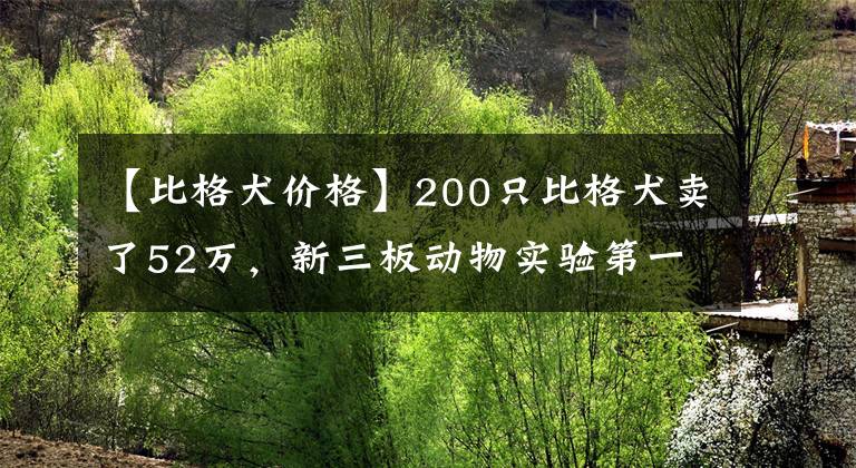 【比格犬价格】200只比格犬卖了52万，新三板动物实验第一股究竟长什么样