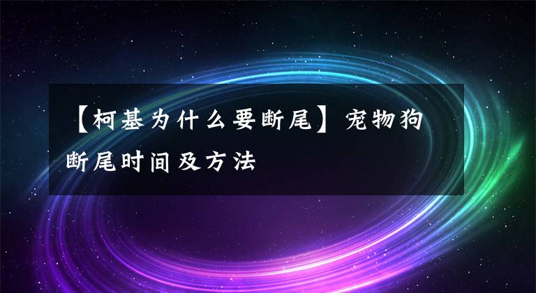 【柯基为什么要断尾】宠物狗断尾时间及方法