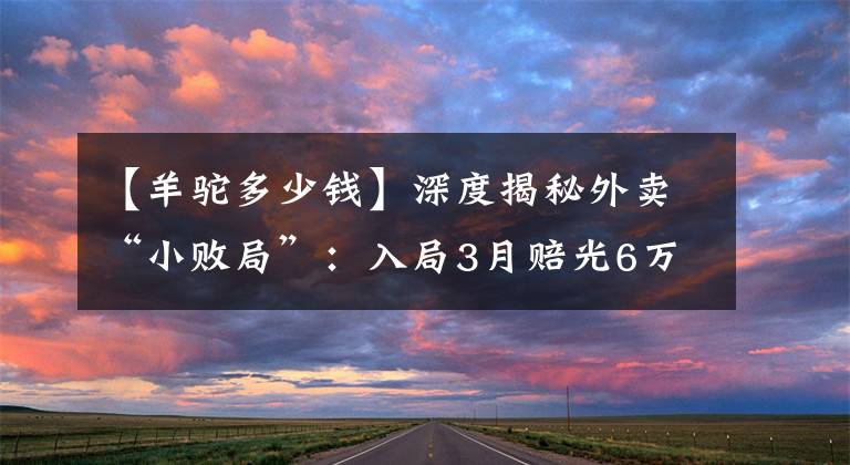 【羊驼多少钱】深度揭秘外卖“小败局”：入局3月赔光6万，我只能割肉离场