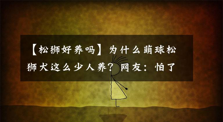 【松狮好养吗】为什么萌球松狮犬这么少人养？网友：怕了，尤其最后一条