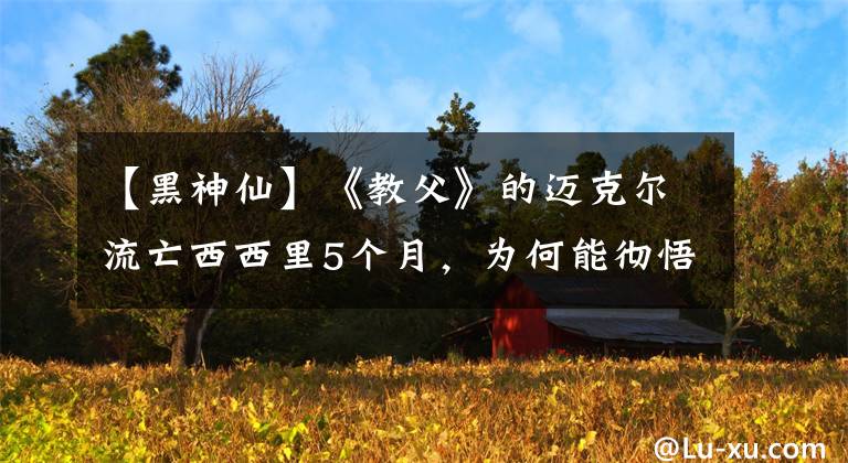 【黑神仙】《教父》的迈克尔流亡西西里5个月，为何能彻悟父亲的缄默？