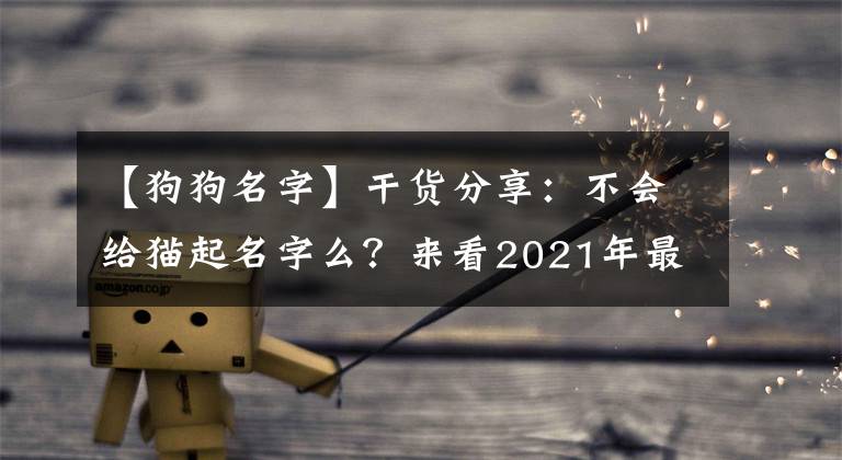 【狗狗名字】干货分享：不会给猫起名字么？来看2021年最受欢迎的猫咪名字