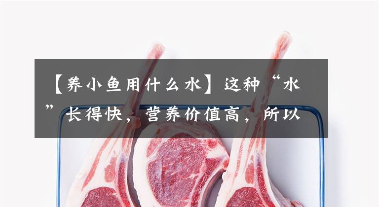 【养小鱼用什么水】这种“水”长得快，营养价值高，所以用稻草做就可以了。文章配图
