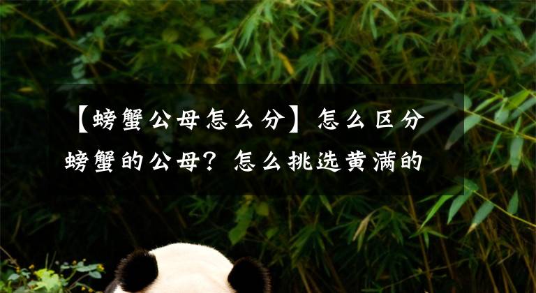 【螃蟹公母怎么分】怎么区分螃蟹的公母？怎么挑选黄满的螃蟹？后附吃螃蟹的方法