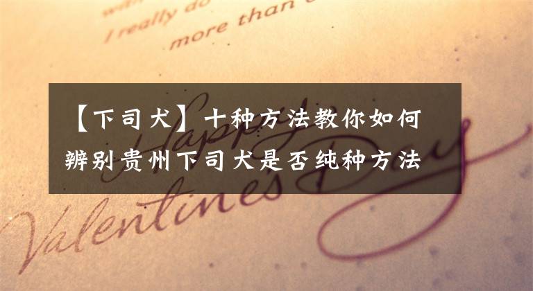 【下司犬】十种方法教你如何辨别贵州下司犬是否纯种方法，很多人不知道