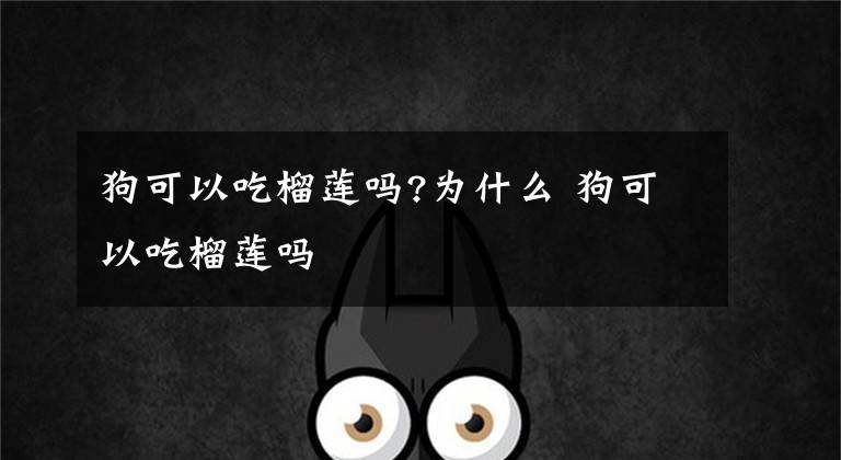 狗可以吃榴莲吗?为什么 狗可以吃榴莲吗文章配图
