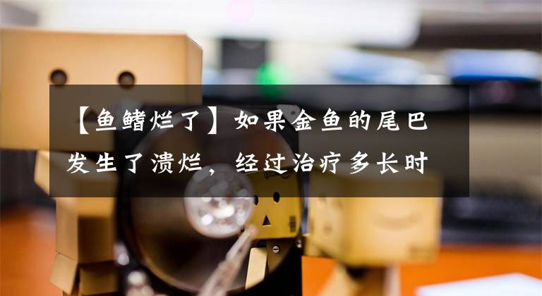 【鱼鳍烂了】如果金鱼的尾巴发生了溃烂，经过治疗多长时间能恢复原状？