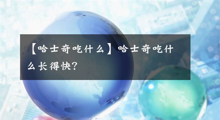 【哈士奇吃什么】哈士奇吃什么长得快？