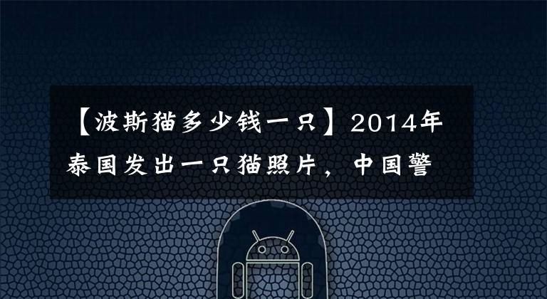 【波斯猫多少钱一只】2014年泰国发出一只猫照片，中国警方顺藤摸瓜，从境外抓获嫌疑人