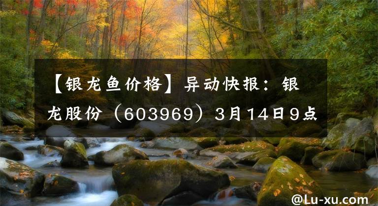 【银龙鱼价格】异动快报：银龙股份（603969）3月14日9点31分封跌停板