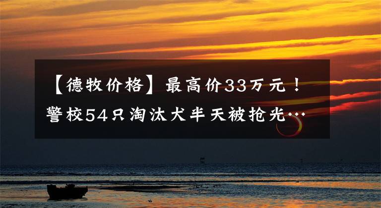 【德牧价格】最高价33万元！警校54只淘汰犬半天被抢光……网友贴心地提了一个要求