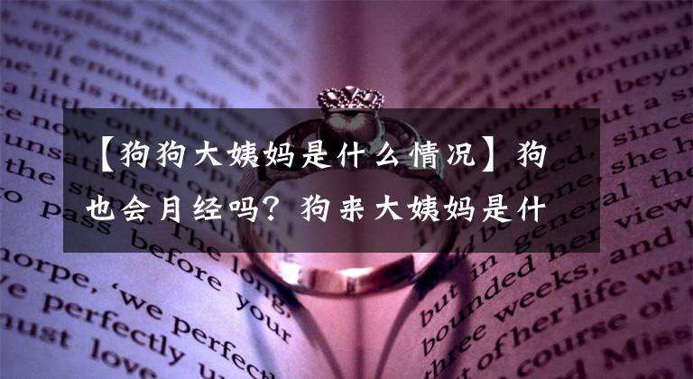 【狗狗大姨妈是什么情况】狗也会月经吗？狗来大姨妈是什么样子的？