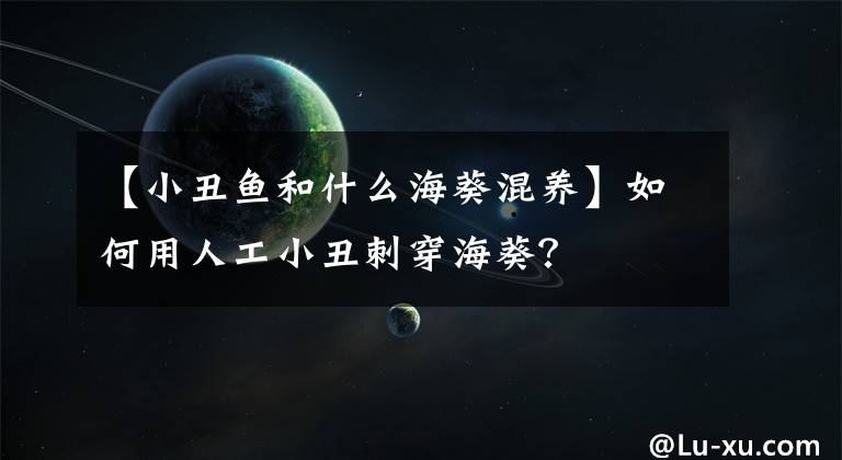 【小丑鱼和什么海葵混养】如何用人工小丑刺穿海葵？