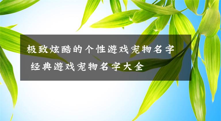 极致炫酷的个性游戏宠物名字 经典游戏宠物名字大全