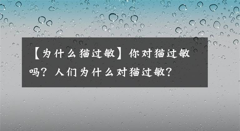 【为什么猫过敏】你对猫过敏吗？人们为什么对猫过敏？