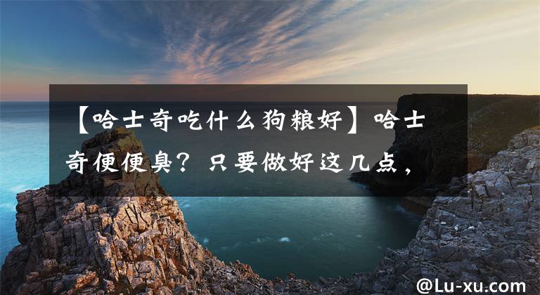 【哈士奇吃什么狗粮好】哈士奇便便臭？只要做好这几点，便便马上就不臭了