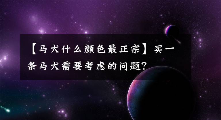 【马犬什么颜色最正宗】买一条马犬需要考虑的问题？