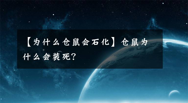 【为什么仓鼠会石化】仓鼠为什么会装死？