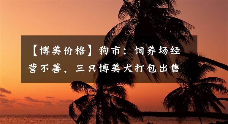 【博美价格】狗市：饲养场经营不善，三只博美犬打包出售仅2000元！