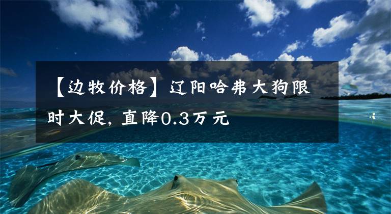 【边牧价格】辽阳哈弗大狗限时大促, 直降0.3万元