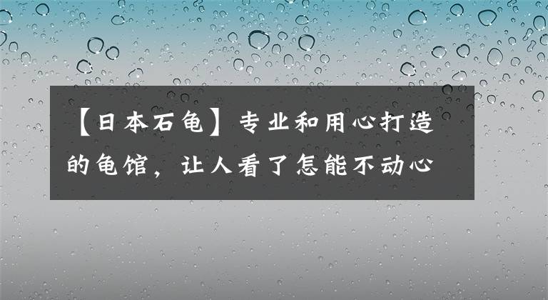 【日本石龟】专业和用心打造的龟馆，让人看了怎能不动心？