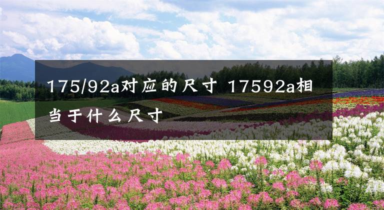 175/92a对应的尺寸 17592a相当于什么尺寸文章配图