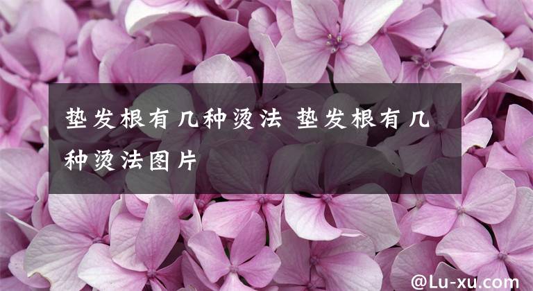垫发根有几种烫法 垫发根有几种烫法图片文章配图