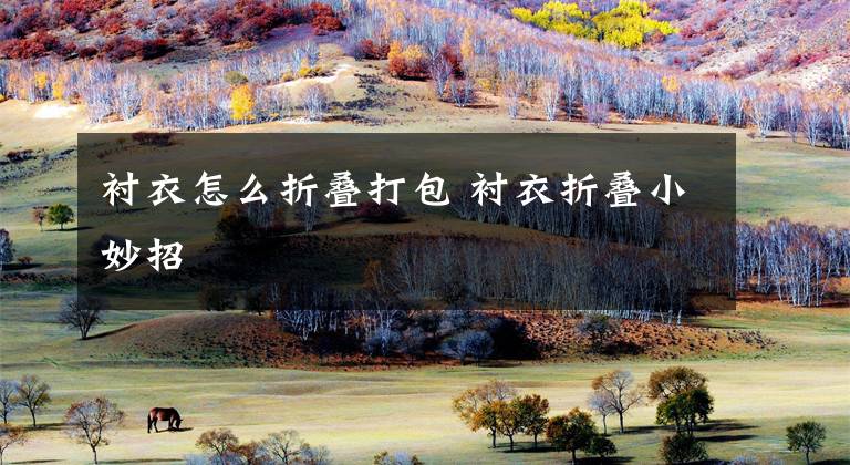 衬衣怎么折叠打包 衬衣折叠小妙招文章配图