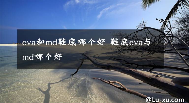 eva和md鞋底哪个好 鞋底eva与md哪个好文章配图