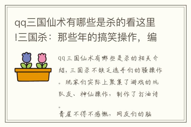 qq三国仙术有哪些是杀的看这里!三国杀：那些年的搞笑操作，编成打油诗你知道多少