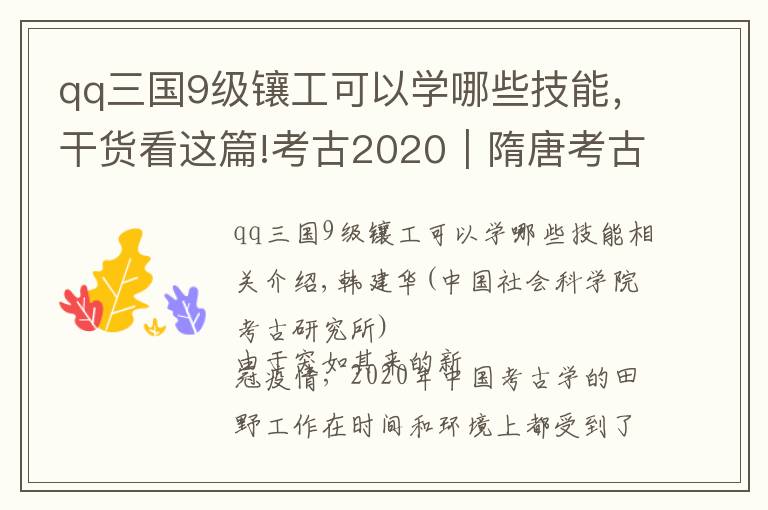 qq三国9级镶工可以学哪些技能，干货看这篇!考古2020︱隋唐考古：手铲释盛世华章，妙笔书多元一体