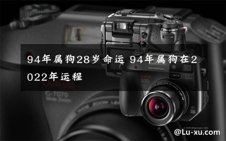 94年属狗28岁命运 94年属狗在2022年运程