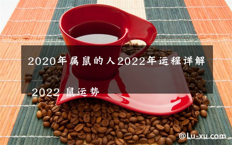 2020年属鼠的人2022年运程详解
 2022 鼠运势