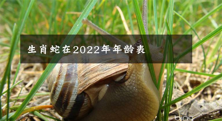 生肖蛇在2022年年龄表