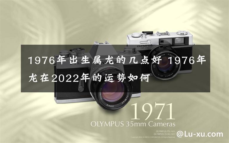 1976年出生属龙的几点好 1976年龙在2022年的运势如何