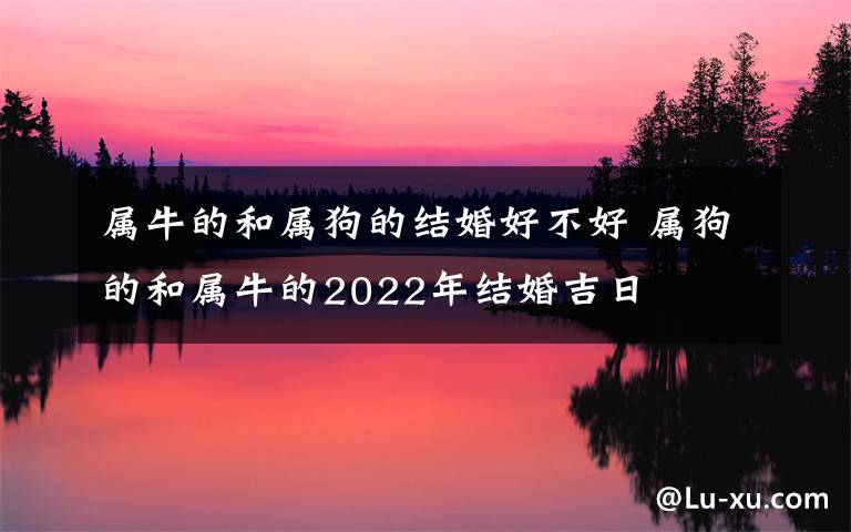 属牛的和属狗的结婚好不好 属狗的和属牛的2022年结婚吉日