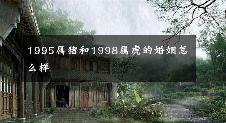 1995属猪和1998属虎的婚姻怎么样