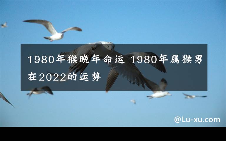 1980年猴晚年命运 1980年属猴男在2022的运势