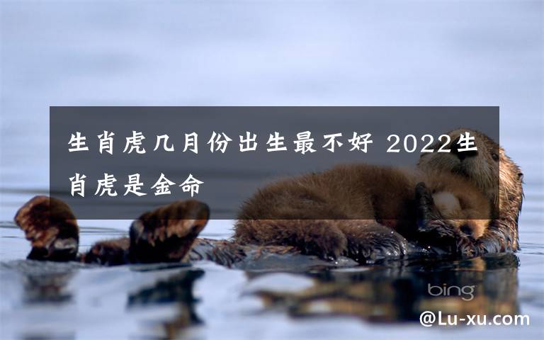 生肖虎几月份出生最不好 2022生肖虎是金命