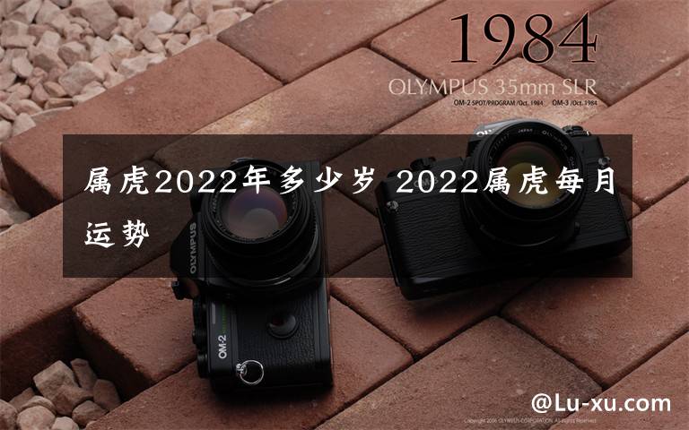 属虎2022年多少岁 2022属虎每月运势