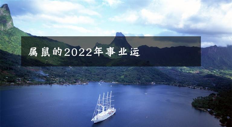 属鼠的2022年事业运