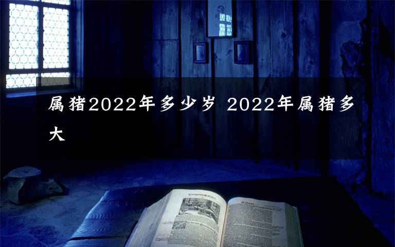 属猪2022年多少岁 2022年属猪多大