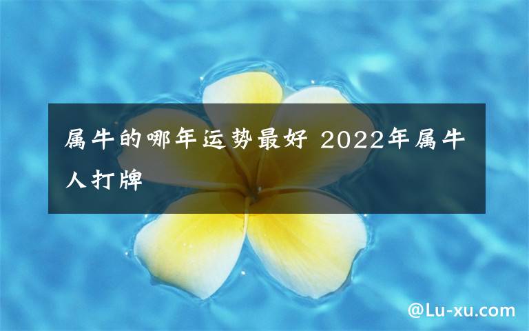 属牛的哪年运势最好 2022年属牛人打牌