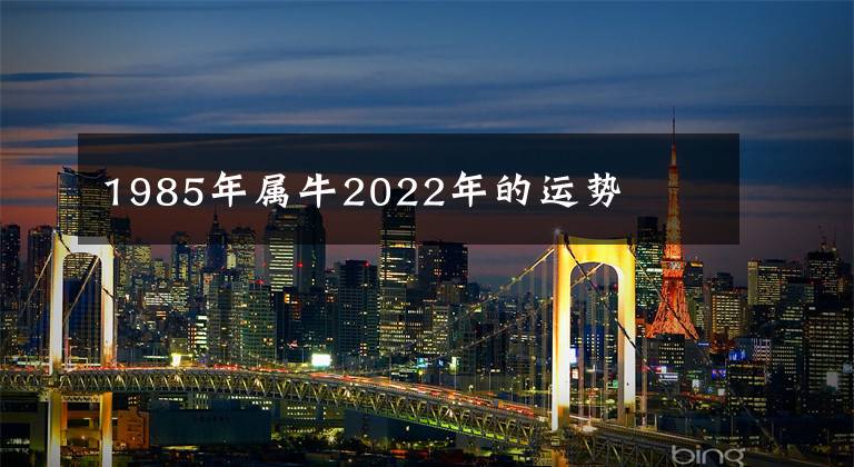 1985年属牛2022年的运势