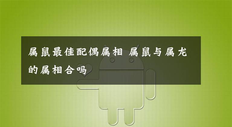 属鼠最佳配偶属相 属鼠与属龙的属相合吗