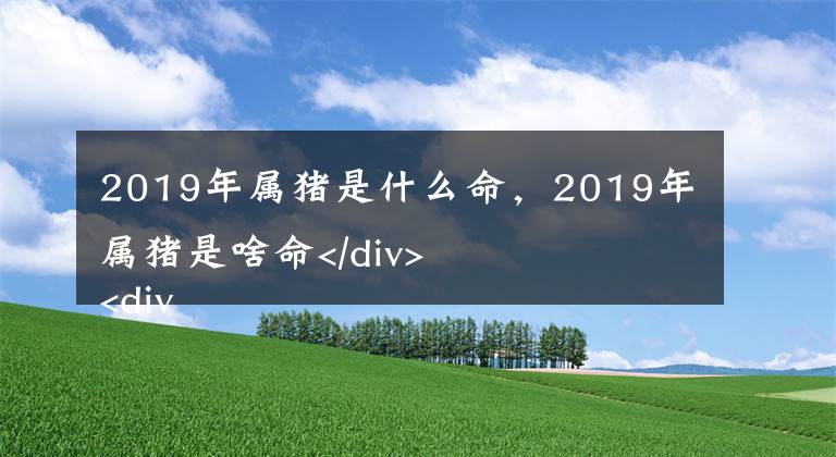 2019年属猪是什么命，2019年属猪是啥命</div> <div