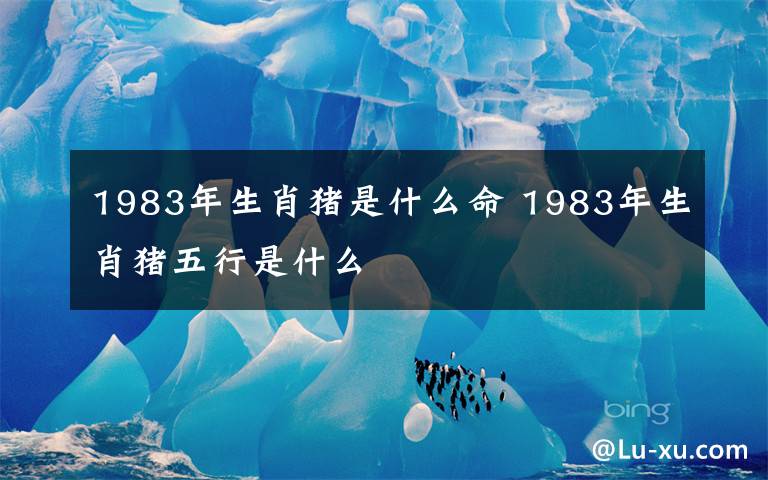 1983年生肖猪是什么命 1983年生肖猪五行是什么