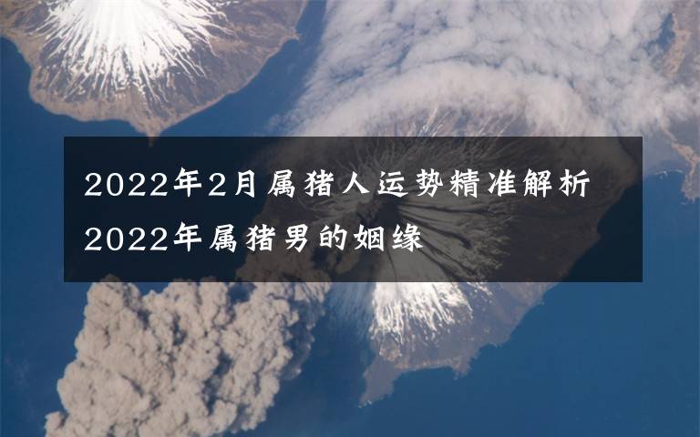 2022年2月属猪人运势精准解析 2022年属猪男的姻缘